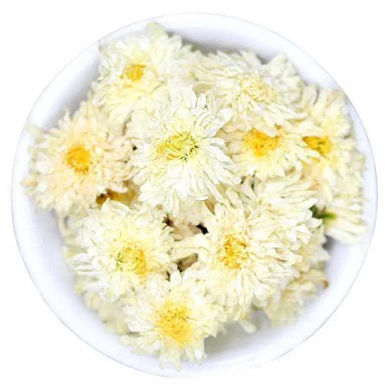 Le thé naturel de chrysanthème est riche en arôme et rafraîchissant