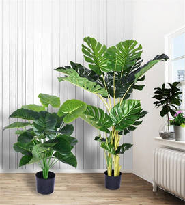 Vente <span class=keywords><strong>en</strong></span> gros de Offre Spéciale bonsaï d'intérieur <span class=keywords><strong>en</strong></span> faux cactus <span class=keywords><strong>mini</strong></span> grande plante verte <span class=keywords><strong>en</strong></span> <span class=keywords><strong>pot</strong></span> bonsaï artificiel avec <span class=keywords><strong>pot</strong></span> E07203 - Product Image 6