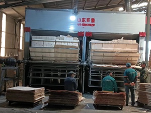 Indonesia Core board, gỗ chip Veneer máy sấy - Product Image 5
