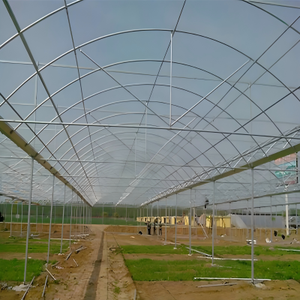 Serre multi-voûtes résistante à la grê<span class=keywords><strong>le</strong></span> avec cadre renforcé, utilisée pour la culture des arbres fruitiers (pommes, poires, cerises) - Product Image 5