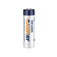 Batterie RAMWAY ER14505 3.6V pour compteur d'eau intelligent à carte IC, pilote de servomoteur PLC Delta, pack de batteries au lithium n°5