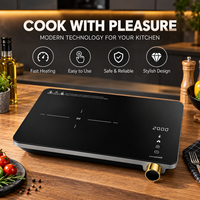 Cuisinière à induction portable 2000W, plaque chauffante électrique à brûleur unique avec commande par bouton rotatif pour la maison, la cuisine, le camping, usine OEM