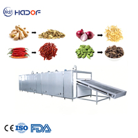 Droogmachine voor gedroogde papaja, kokosvlees, druiven, rozijnen, persimmon, avocado, droogfruitlijn 100-1250kg/uur, automatisch