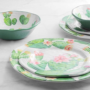 Jardín de Cactus comedor la cena de <span class=keywords><strong>vajilla</strong></span> de cerámica de probable de <span class=keywords><strong>melamina</strong></span> de venta al por mayor - Product Image 2