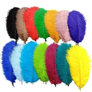 Wholesale Bulk White Colorful Large Ostrich Feather Trims Plumes Carnival Wedding Decoration Ostrich Feather Plumes