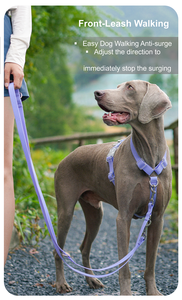 Arnés de perro impermeable ajustable reflectante en forma de Y duradero, accesorio para mascotas recubierto de PVC de lujo, diseño Simple de moda al por mayor - Product Image 4