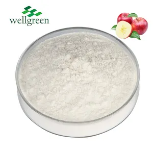 Wellgreen Competitive Products Factory Direct Supply Natural Organic Extract Bulk Halal Apple Cider Vinegar Powder