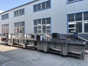 Linea Automatica per la Produzione di Larve di Mosca Soldato Nera (BSF) con Separazione, Essiccazione e Lavorazione Completa - Product Image 3
