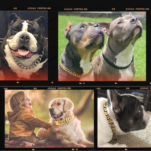 Collier de chien à maillons cubains en acier inoxydable 19MM chaîne en métal or 18K pour Pitbull berger allemand - Product Image 5