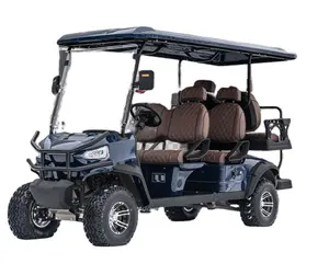 Carrinho de golfe premium para venda/carrinho de golfe de 2/4 lugares/carrinho de golfe com preços promocionais