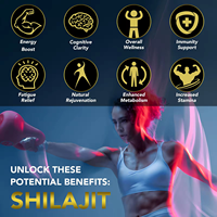 Aeglewell Marque distributeur 60 bonbons au Shilajit Gummy Complément alimentaire en fibres de l'Himalaya pur pour adultes