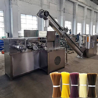 Machine à pâtes électrique personnalisable Ligne de production domestique de nouilles de riz Machine à nouilles de verre multifonction Fabricant