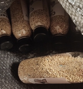 Desodorizante de carbón activado para caja de arena de gatos y perros, perlas eliminadoras de olores, fuerte absorción de amoníaco, sin polvo, limpieza profunda - Product Image 6