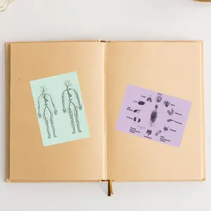 Mini <span class=keywords><strong>impresora</strong></span> térmica de bolsillo <span class=keywords><strong>Phomemo</strong></span> <span class=keywords><strong>T02</strong></span>, 203DPI/impresión inalámbrica, fotos de texto, notas de estudio, manualidades de diario DIY - Product Image 6