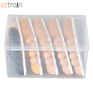 Khoa Học mô hình bệnh tiểu đường chân, mô hình bệnh - Product Image 4