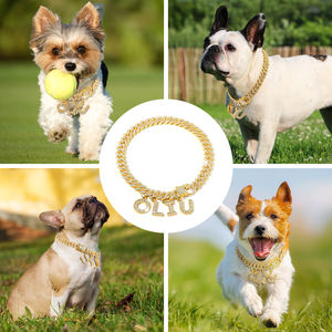 स्थानीय स्टॉक हिप्पोपेट में हॉट सेलिंग डिय कुत्तों का कॉलर कस्टम लेटर नाम नेकलेस हाइप लक्जरी मिश्र धातु कुत्ते चाय चलने वाला कॉलर - Product Image 2