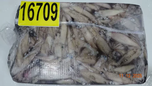 حبار كاليفورنيا المجمد - Product Image 2