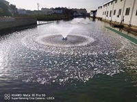 Mélangeur d'aération submersible pour le traitement des boues, les réservoirs biologiques et la circulation des eaux industrielles