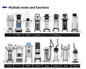 BEAUTY SALON ONE-STOP SERVICE Professional Aesthetics Equipment Manufacturer 220V Model <b>23A</b> OEM/ODM - Product Image 2