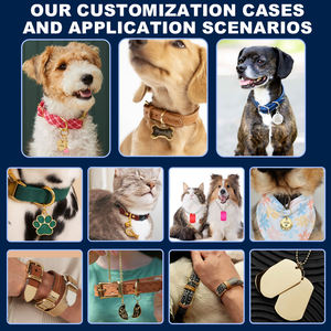 Placas de Identificación para Mascotas Fabricadas en Acero Inoxidable, Personalizables y en Blanco para Grabar, Llaveros, Collares y Colgantes - Product Image 6