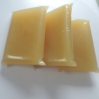 Colle animale en gel thermofusible inodore pour la fabrication de boîtiers