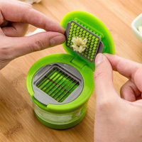 Mini presse-ail et hachoir à gingembre manuel avec récipient de rangement, coupe-ail et légumes pour cuisine