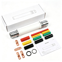 Terminal intérieur en caoutchouc silicone (thermorétractable) 10KV Hebei