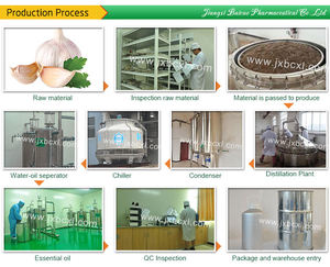 100% naturale naturale estratto di <span class=keywords><strong>aglio</strong></span> <span class=keywords><strong>olio</strong></span> in fabbrica prodotto e all'ingrosso <span class=keywords><strong>olio</strong></span> essenziale di <span class=keywords><strong>aglio</strong></span> - Product Image 6