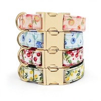 Op maat gemaakte gepersonaliseerde polyester hondenhalsband en tuigje set, fruit- en bloemenprint, Instagram-stijl, verstelbaar, wasbaar, eigen label voor