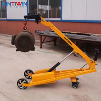 Chariot de levage électrique, 300kg/500kg, chargeur de batterie multifonctionnel