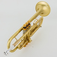 Wholesale Custom Gold Lacquer Surface Heavy Duty Professional Bb Key Trumpet Matte Brushed Finish Factory Brass Wind Instruments