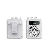 Amplifier Mini Nirkabel 10W Model Pribadi untuk Penggunaan di Rumah dan Luar Ruangan, Satu-ke-Dua Mikrofon Lavalier Kecil Model Lebah, Penerima Plastik untuk Guru