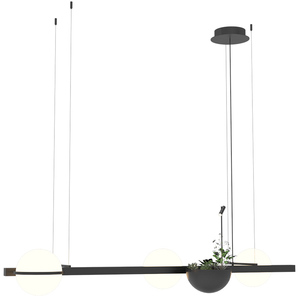 Lustre <span class=keywords><strong>en</strong></span> <span class=keywords><strong>fer</strong></span> <span class=keywords><strong>forgé</strong></span> pour plantes, éclairage décoratif pour îlot <span class=keywords><strong>de</strong></span> bar, comptoir <span class=keywords><strong>de</strong></span> salle à manger, style nordique moderne minimaliste - Product Image 6