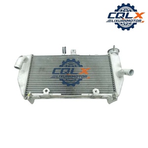 Accesorios para Motocicleta CQLX, Radiador <span class=keywords><strong>de</strong></span> Aluminio para Tanque <span class=keywords><strong>de</strong></span> <span class=keywords><strong>Agua</strong></span> para <span class=keywords><strong>YAMAHA</strong></span> YZF-R15 V3 <span class=keywords><strong>2018</strong></span>-2023 BG7E246001 - Product Image 5