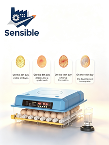 Incubateur automatique pour 12 œufs, couveuse compacte pour poulets, canards et oiseaux, avec panneau de contrôle à vision claire, pour usage domestique - Product Image 4