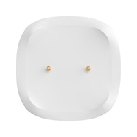 SONOFF SNZB-05P Capteur intelligent de fuite d'eau Zigbee, détection de fuites et de gouttelettes, alerte en temps réel, scénario intelligent via EWeLink Alexa Google