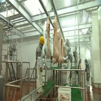 Abattoir commercial de petite taille, capacité de 50 à 200 têtes par jour, équipement d'abattage de porcs, ligne d'abattage de porcs