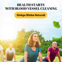 Extrait de Ginkgo Biloba Vert Haute Puissance en Capsules Molles Menthe 500mg 25% Flavonoïdes Soutient la Mémoire et la Circulation Sanguine 100