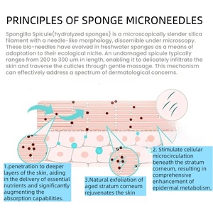 Polvere Esfoliante di Alghe Rosa S 80% con Spicule di Spongilla per Terapia Bio-Microneedling - Per Centri Estetici e Saloni di Bellezza - Product Image 5