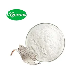 ISO工厂天然白桦树粉高品质98% 白桦林粉有机桦树皮提取物