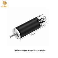 Moteur CC sans balais compact Tenli 2060, 20 mm, 24 V, 40 000 tr/min, faible bruit, avec ou sans capteur Hall, CW/CCW, pour pièce à main dentaire