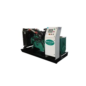 Factory direct supply cheap price 50KW Silent Type Bio Gas Power Generator From Food Waste