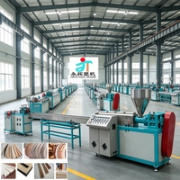 Fully Automatic PVC/ABS/PMMA Edge Banding Extrusion Production Line