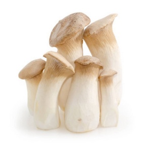 Prix d'usine pour les pleurotes cultivés surgelés pour des repas et des soupes sains - Product Image 1