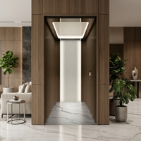 Ascenseurs de villa en acier inoxydable de la série Premium avec contrôle intelligent en PVC. Capacité personnalisable de 400 kg pour 2-3 personnes à domicile