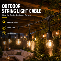 Câble d'extension pour guirlande lumineuse LED extérieure robuste IP65 étanche, en PVC durable, pour jardin et patio, avec prise pour lampe de Noël - NBTOP