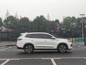 Chery Tiggo 8 PLUS Champion Haomai 2024, 2.0TGDI, Intérieur Premium, Système d'assistance à la conduite avancé, Sensation <span class=keywords><strong>de</strong></span> luxe - Product Image 4