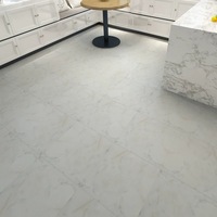 Peel Stick vinilo PVC pared piso pegatina azulejos para cocina para decoración de paredes interiores solución de diseño gráfico