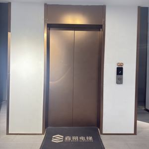 Ascensores <span class=keywords><strong>Familiares</strong></span> Modernos de Tamaño Personalizado, Ahorran Espacio, Ascensor Seguro para Diversas Aplicaciones <span class=keywords><strong>en</strong></span> Residencias Privadas, Villas y Hoteles - Product Image 4