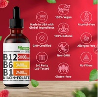 Gouttes liquides de complexe de vitamines B végétaliennes B12 B6 B1 Niacine Folate pour soutenir l'énergie quotidienne et le bien-être corporel Fabrication OEM ODM
